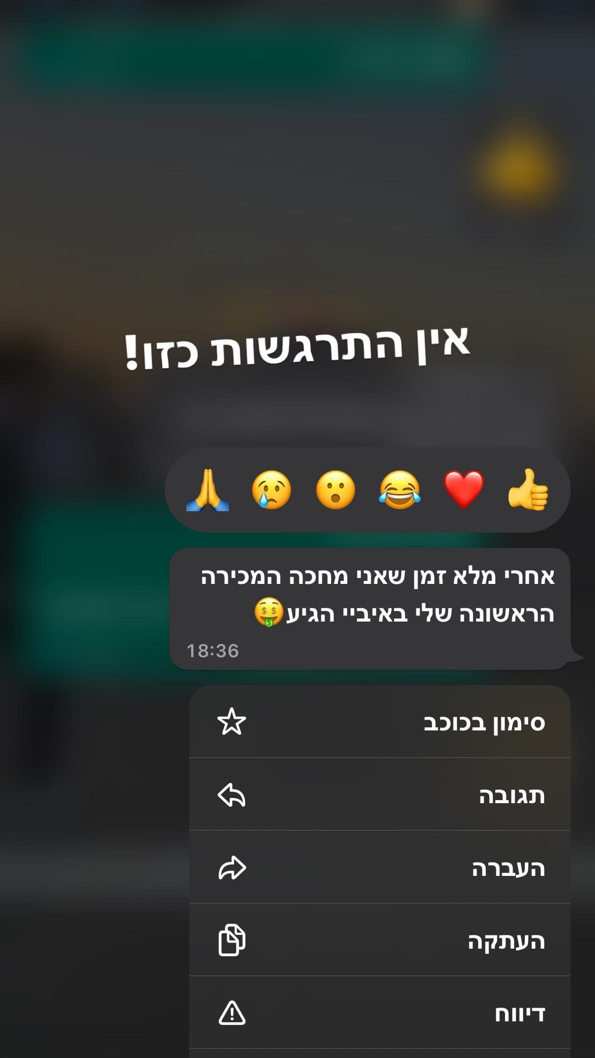 הישגי לקוחות - 28